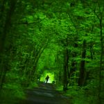Actitudes del buen emprendedor Se verde