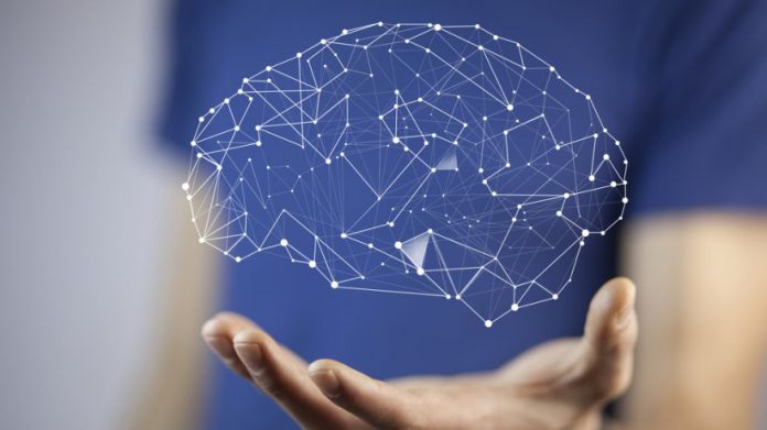 ventas cerebro