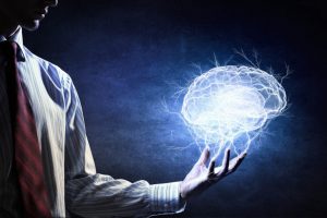 cerebro 