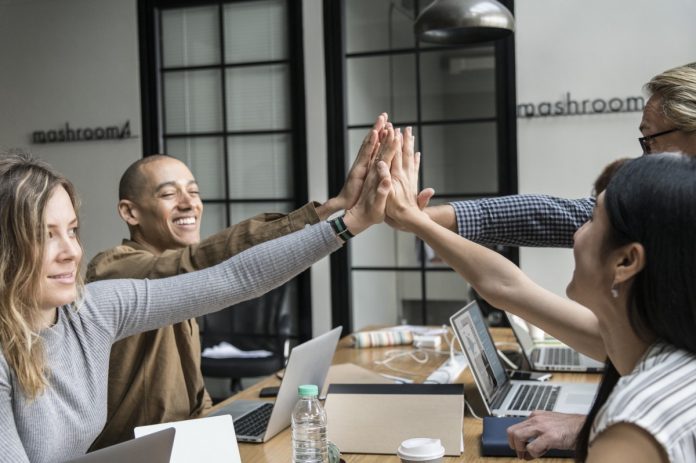equipo de trabajo