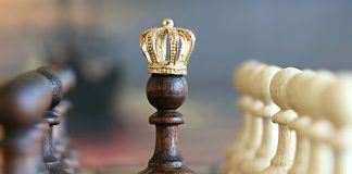 desarrollar una mente empresarial