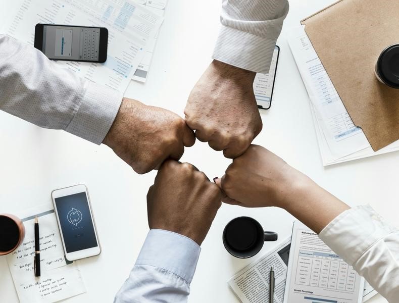 Modelo de negocios con canva 2