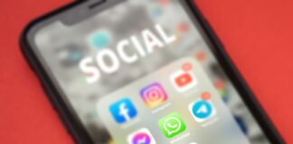 estadísticas que WhatsApp Business te ofrece