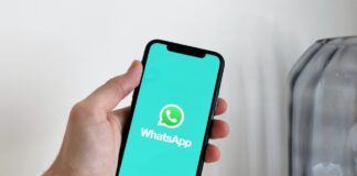 organizar contactos en WhatsApp Business