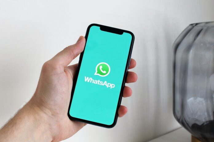 organizar contactos en WhatsApp Business