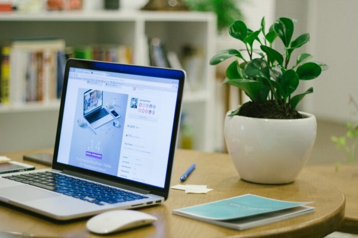 contenido que debe llevar una landing page