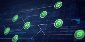 Conoce cómo aprovechar la API de WhatsApp Business este 2024